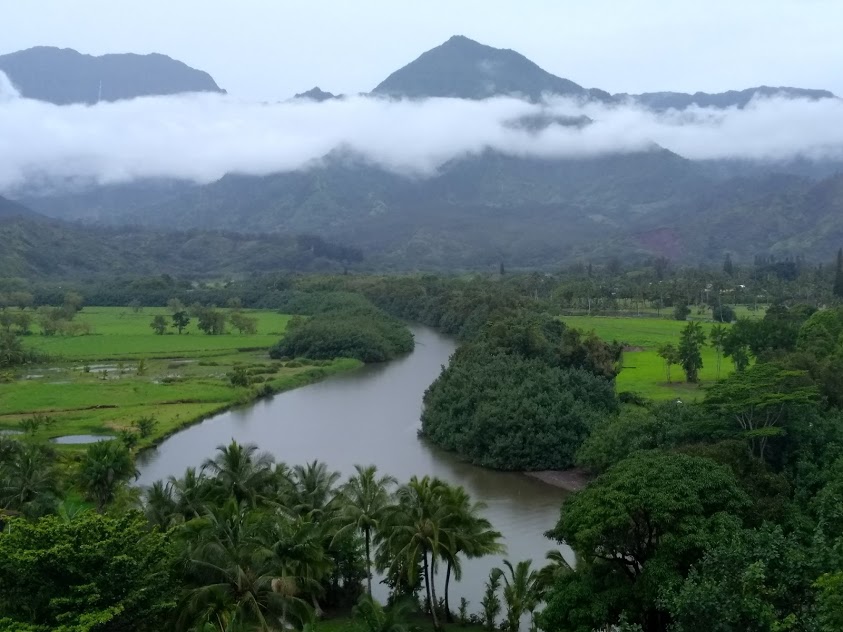 kauai fog